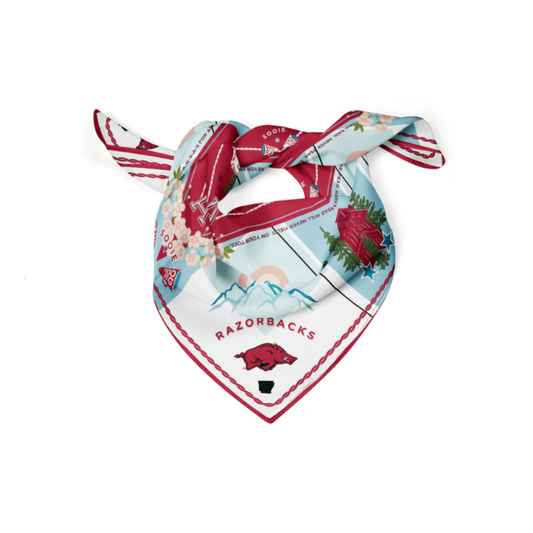 Saturday Silks Arkansas Silk Scarf